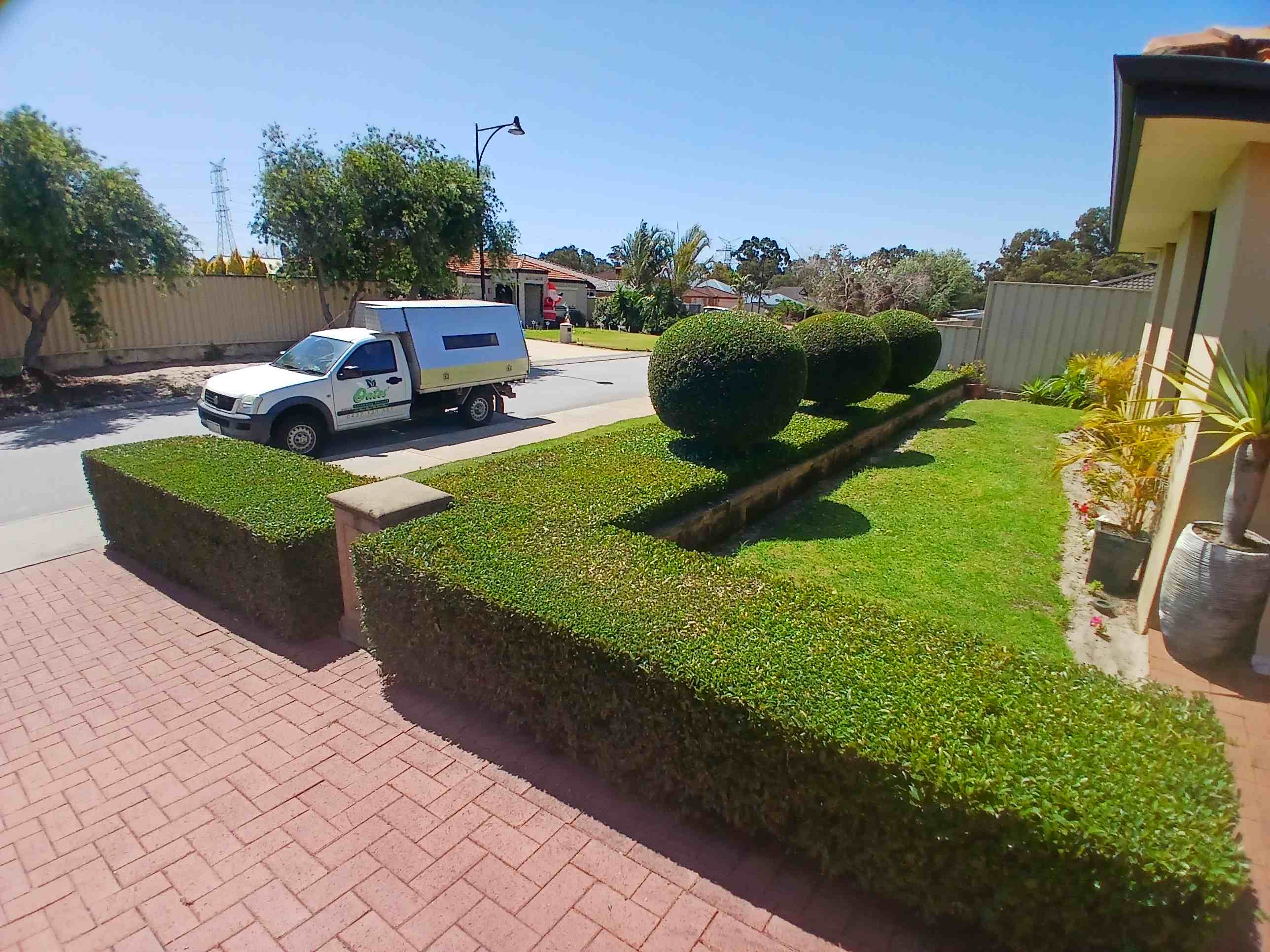 Oates Gardening Service ute beside freshly trimmed hedges